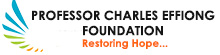 Professor Charles Effiong Foundation